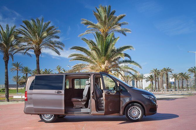 Private transfer from/to Seville to/from Granada with optional stop in Cordoba - Private Door-to-Door Transfer: What You’re Really Buying