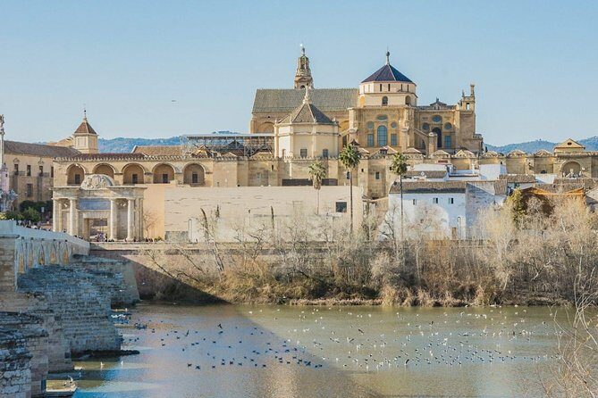 Private Transfer Seville to Granada with a Tour of Cordoba/Mosque - Optional Cordoba Monument Tour: When the Extra Guide Fee Is Worth It
