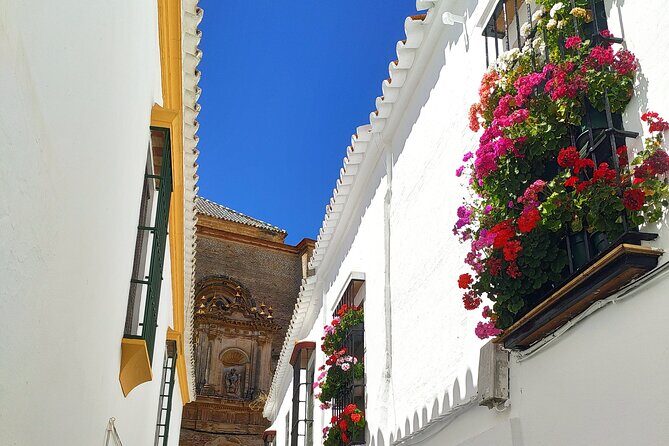 Private trip to Carmona from Seville: 5000 years of history - Lunch in Plaza San Fernando: take your time in the historic center