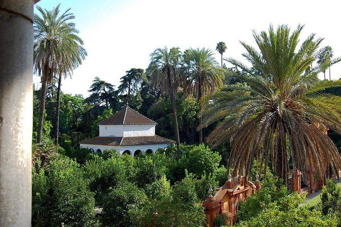 Private visit to the Alcazar and the Cathedral of Seville - Who should book this tour (and who might not)