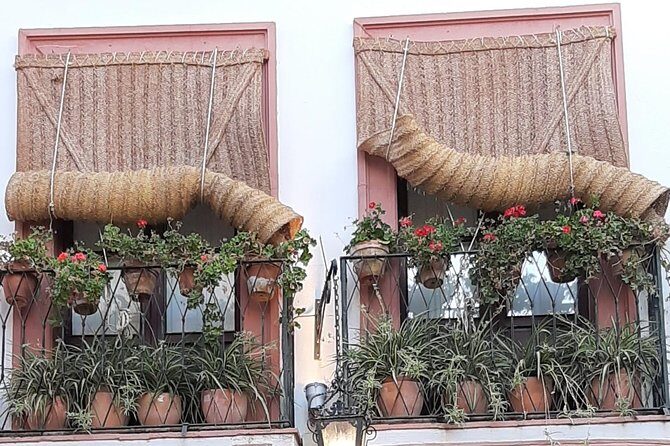Private visit to the Jewish Quarter of Seville (Sta. Cruz and San Bartolomé Neighborhoods) - Languages, mobile tickets, and why the day feels smooth