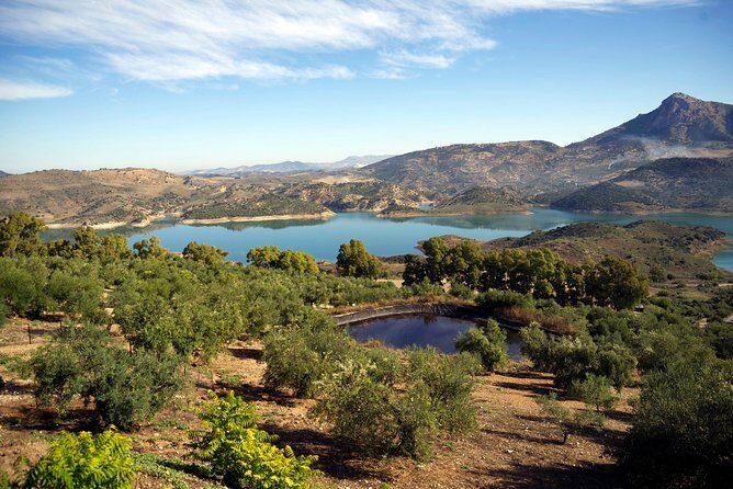 Private White Villages & Ronda Day Tour from Seville - Leaving Seville: when the drive becomes part of the day
