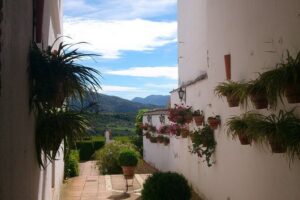Private White Villages & Ronda Day Tour from Seville - Grazalema viewpoints: where nature meets practical timing