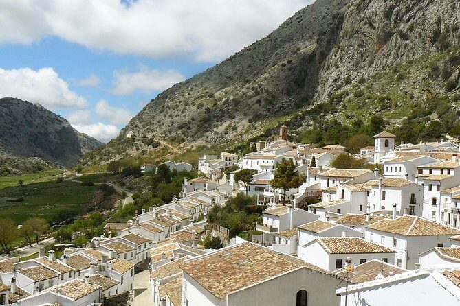 Private White Villages & Ronda Day Tour from Seville - What to pack (and what to ask) for a smooth day