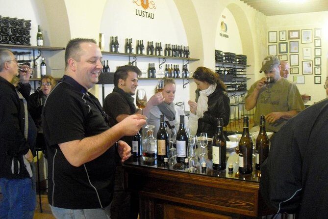 Private wine tour to Jerez de la Frontera - Second winery stop: boutique vibe, brandy tasting, and time to ask questions