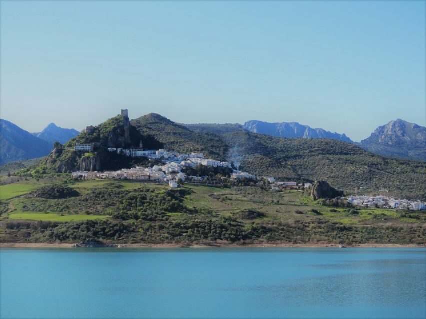 Pueblos Blancos & Ronda: Private Full-Day Tour from Seville - Quick hits you’ll feel from the start
