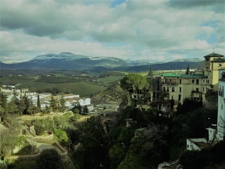Pueblos Blancos & Ronda: Private Full-Day Tour from Seville - Grazalema’s Nature Park: cork trees, vultures, and a good lunch break