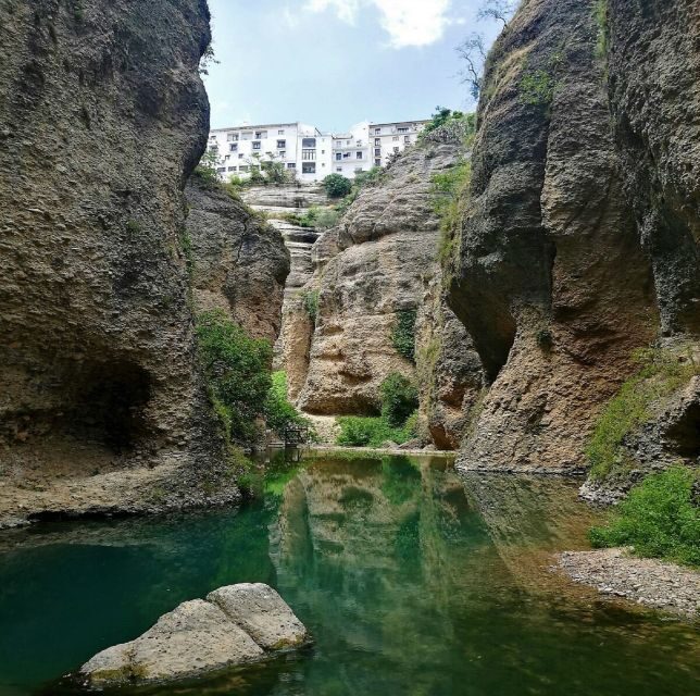 Pueblos Blancos & Ronda: Private Full-Day Tour from Seville - Why the private guide makes this tour worth paying for