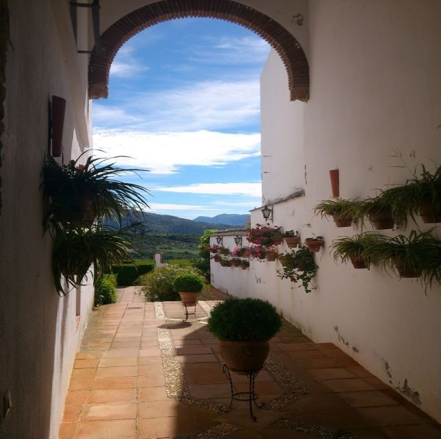 Pueblos Blancos & Ronda: Private Full-Day Tour from Seville - Price and logistics: what $620 per group really buys