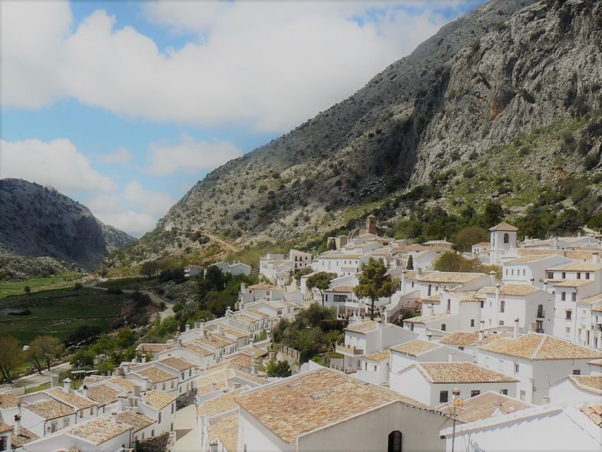 Pueblos Blancos & Ronda: Private Full-Day Tour from Seville - Zahara de la Sierra: viewpoints, coffee time, and olive oil