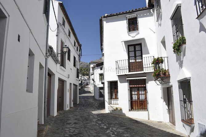 Ronda and White Villages Guided Day Tour from Seville - Ronda Old Town: 1.5 hours of guided walking that helps the city make sense