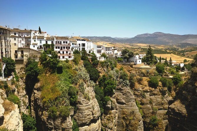 Ronda and White Villages Guided Tour from Seville - Sierra de Grazalema Natural Park: Pinsapar and Tall Fir Trees in a Tight Time Slot