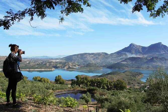 Ronda Private Tour from Seville - Lunch Planning Since It Isn’t Included