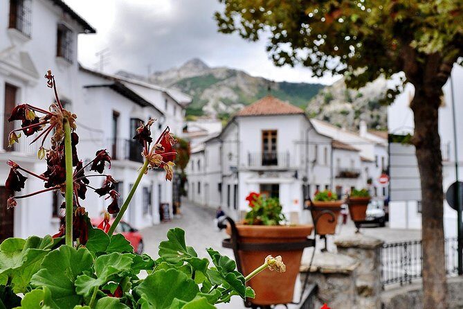 Ronda & White Villages Small Group Tour from Seville - The Seville to Ronda Drive: Why Starting Early Helps