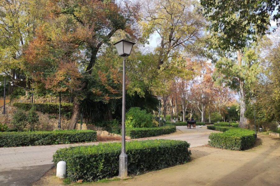 Secrets of Maria Luisa Park and Plaza de Espana - Who this tour is for (and who should consider something else)