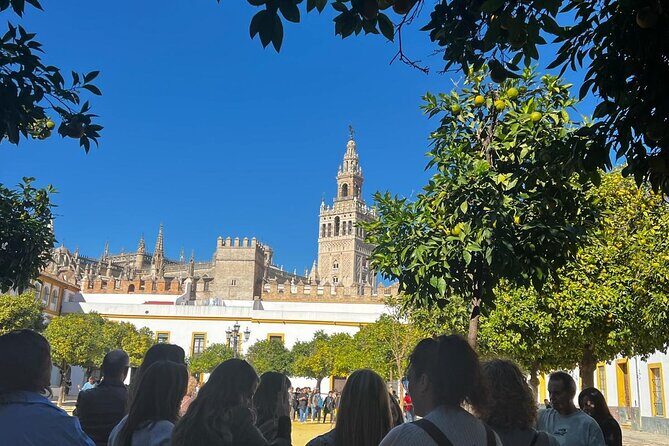 Sevilla: Essential Private Tour - Giralda Tower viewpoints without climbing: how to use the time well