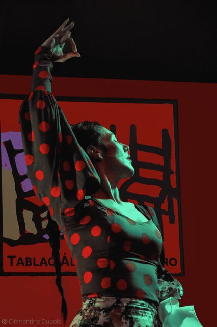 Sevilla: Flamenco Show at Tablao Álvarez Quintero - The Performance Components: What You’ll Actually Watch