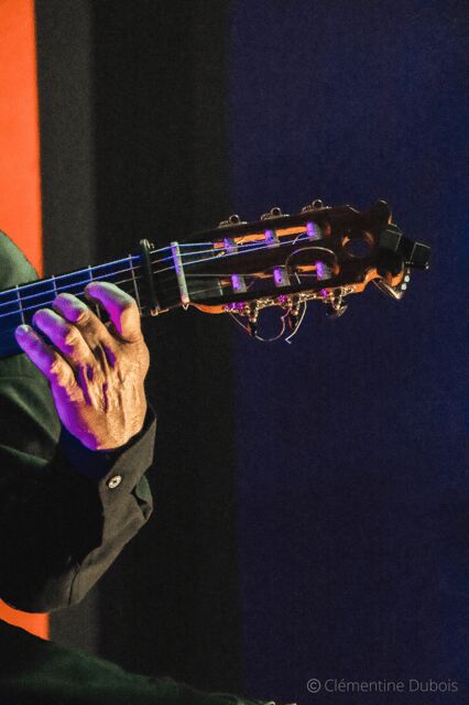 Sevilla: Flamenco Show at Tablao Álvarez Quintero - Who Should Book This Flamenco in Sevilla