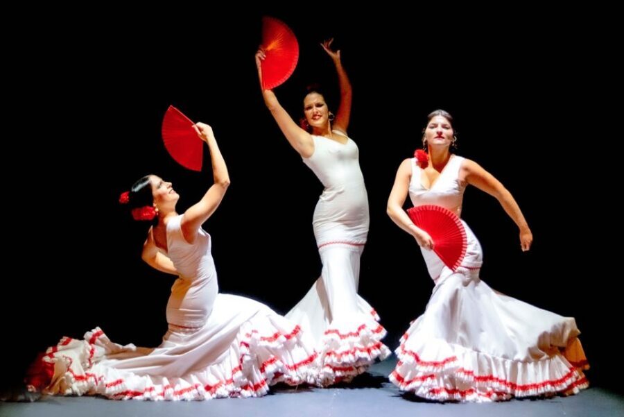 Sevilla: Hop-On Hop-Off & Walking Tours, Cruise & Flamenco - Who this Sevilla day works best for