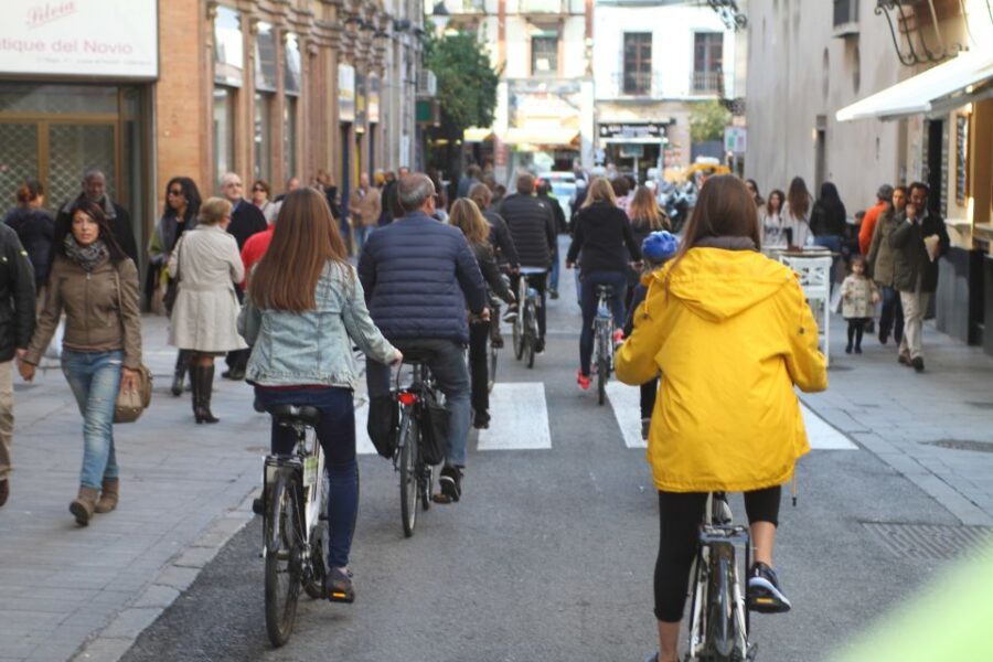 Seville: 1-Day Bike Rental - Key highlights to focus on