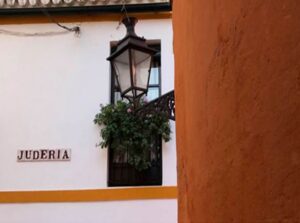 Seville: 1-Hour Walking Tour Barrio de Santa Cruz - Meeting point near Real Alcázar: Calle Miguel de Mañara or Plaza del Triunfo