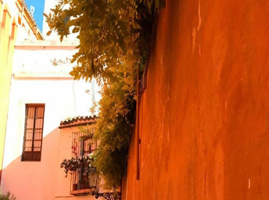 Seville: 1-Hour Walking Tour Barrio de Santa Cruz - The walk’s pacing: short enough to fit, structured enough to feel complete