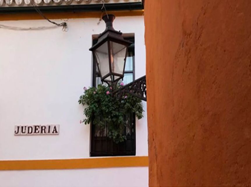 Seville: 1-Hour Walking Tour Barrio de Santa Cruz - Meeting point near Real Alcázar: Calle Miguel de Mañara or Plaza del Triunfo