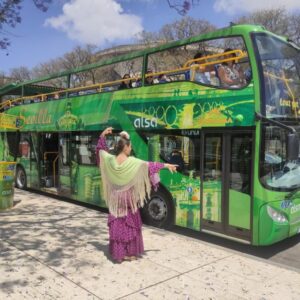 Seville: 2-Day Hop-on Hop-off Bus Ticket - Your 2-day ticket: how to use it without overthinking