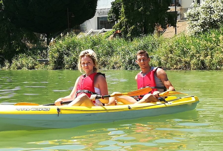 Seville: 2–Hour Guadalquivir River Kayaking Tour - Price and Value at $46: what you’re really paying for