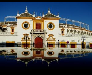 Seville 4-Hour Guided Walking Tour - Seville Cathedral and Giralda: seeing the former minaret feeling