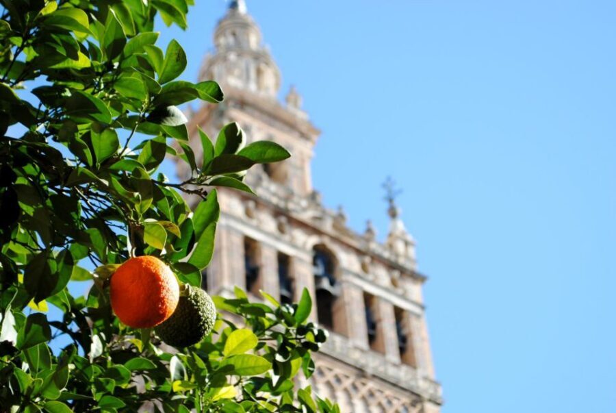 Seville 4-Hour Guided Walking Tour - From Plaza de España to San Telmo Palace: shifting from power to pageantry
