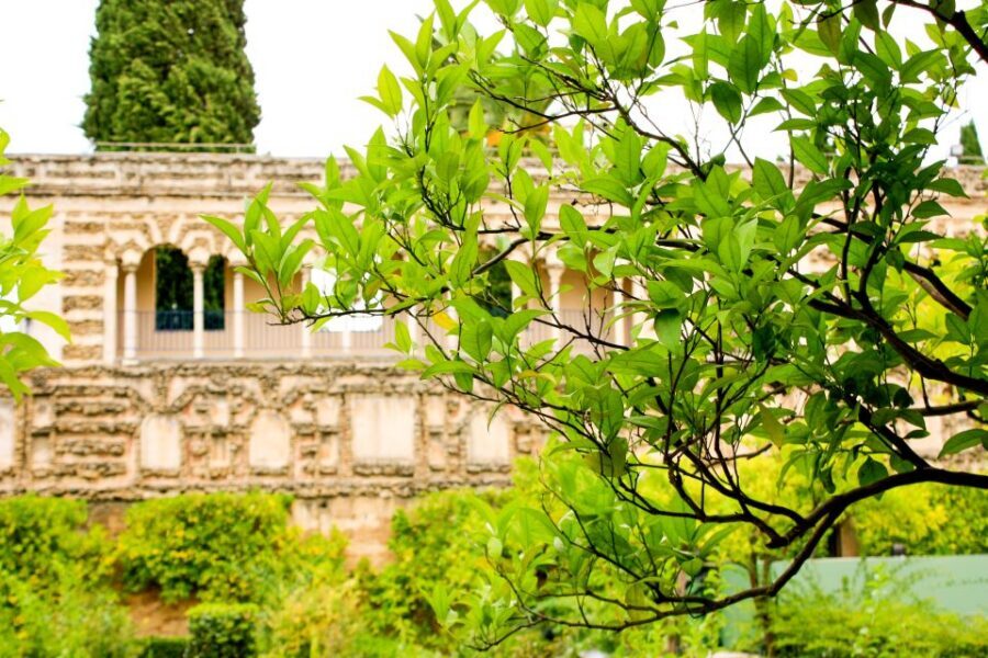 Seville: Alcazar Skip-the-Line Guided Tour with Tickets - Mudéjar architecture in Patio del León and beyond