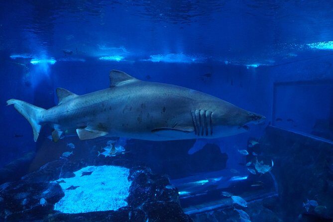 Seville Aquarium Admission Ticket - Inside the Five Themed Zones: Your Route From River to Ocean
