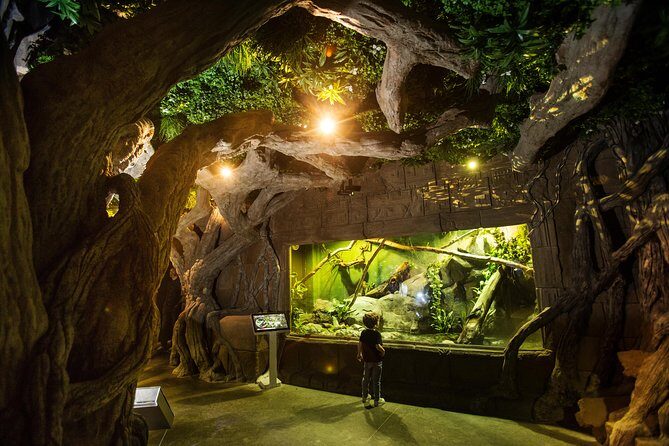 Seville Aquarium Admission Ticket - Bullsharks, Turtles, Rays, Octopus, and Jellyfish Displays