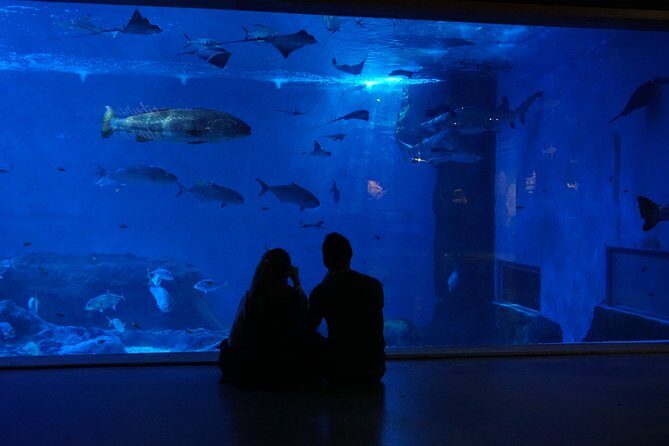 Seville Aquarium Admission Ticket - How Long You’ll Need (And Why 1–3 Hours Is a Sweet Spot)