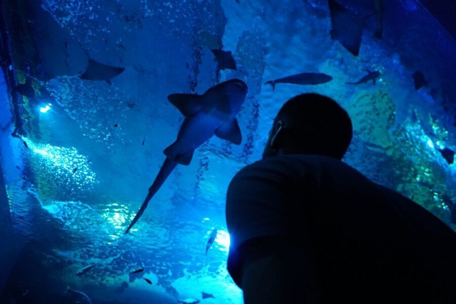 Seville Aquarium Admission Ticket - Tickets, Timing Rules, and What to Watch For