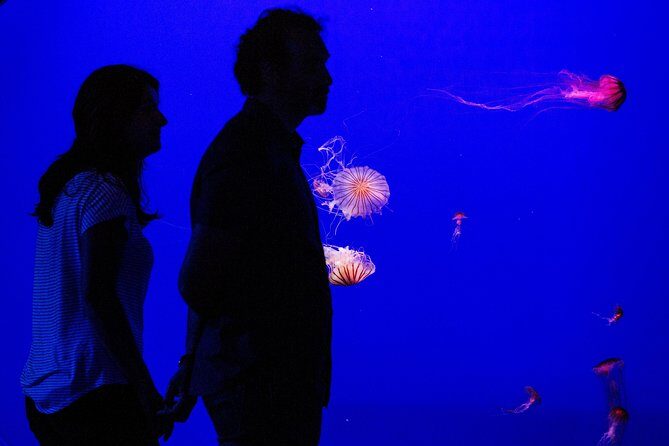 Seville Aquarium Admission Ticket - The Five Themed Areas: What Each Stop Feels Like