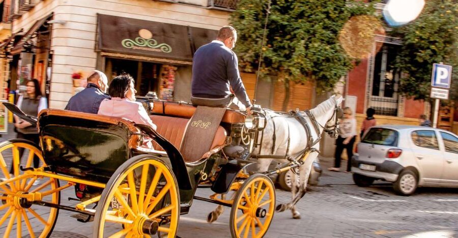 Seville: Authentic and Romantic Horse-Drawn Carriage Ride - Key Things to Know Before You Go