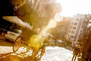 Seville: Authentic and Romantic Horse-Drawn Carriage Ride - The Sights You’ll Pass: Parque Maria Luisa, Triana, and More