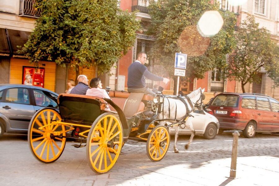 Seville: Authentic and Romantic Horse-Drawn Carriage Ride - Photo Opportunities: When to Have Your Camera Ready