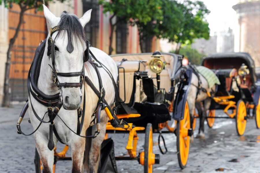 Seville: Authentic and Romantic Horse-Drawn Carriage Ride - What It Feels Like: A Romantic Seat Without the Heavy Planning