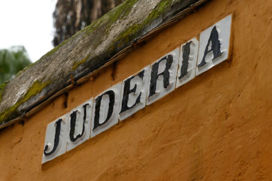 Seville: Barrio de Santa Cruz Small Group Walking Tour - What you get: small group, local guide, and audio backup