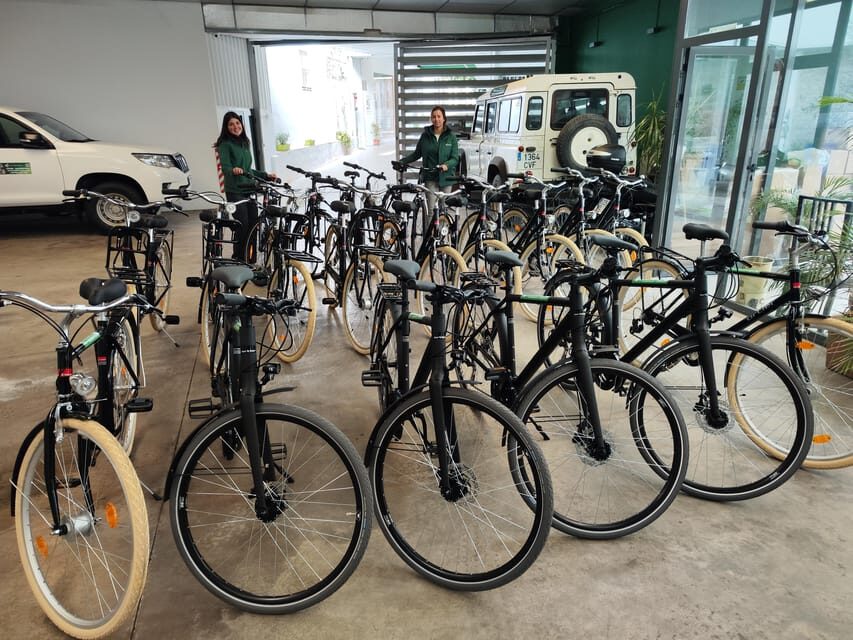 Seville: Bike Rental - City or mountain bike? Choosing the right style and size