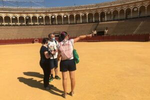 Seville Bullring: Guided Tour with Direct Entry - Entering the Plaza de Toros: Your Start Point Matters
