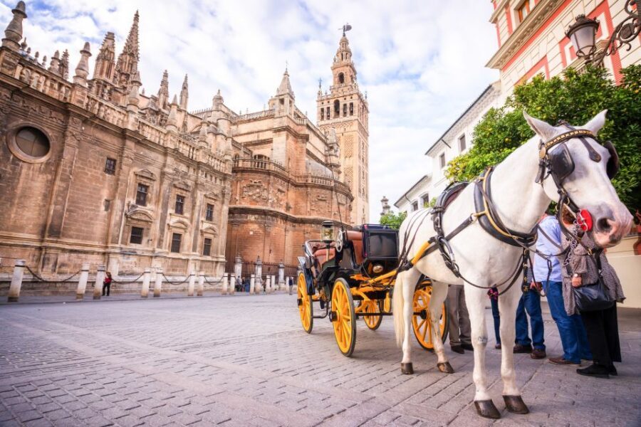 Seville: Cathedral and Alcázar Guided Tour - Why this combo tour is such a good use of your Seville time