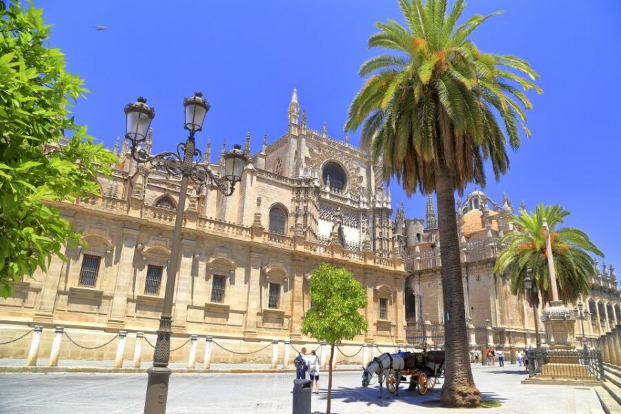 Seville: Cathedral, Giralda & Alcazar Entry With Guided Tour - Where you meet: Av. de la Constitución and why it matters