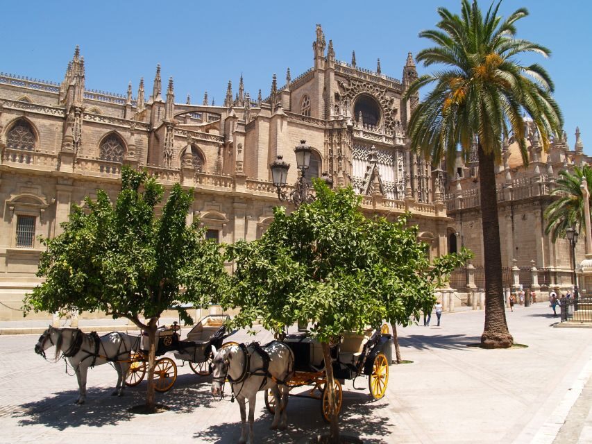 Seville: Cathedral, Giralda, and Alcazar Guided Tour - Courtyard of orange trees (and why it matters)