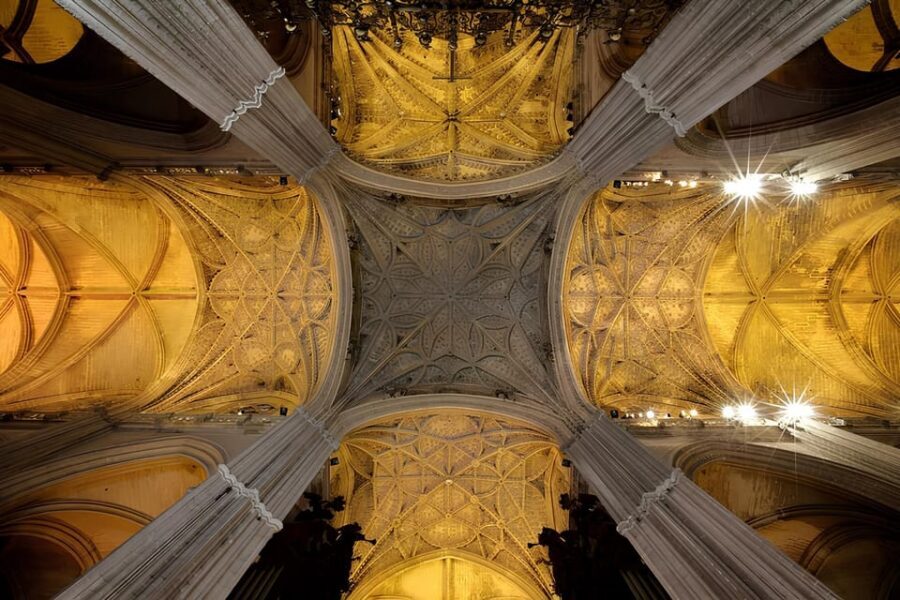 Seville: Cathedral of Seville Guided Night Tour & Light Show - Meet Your Specialist Guide and settle into the story
