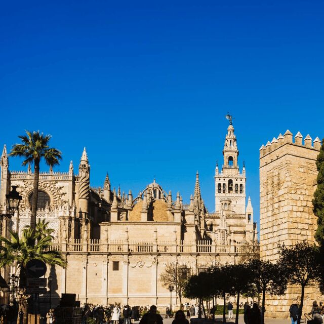 Seville: CATHEDRAL TINY GROUP SKIP THE LINE - Arriving at the Cathedral: where the tour starts and why it matters