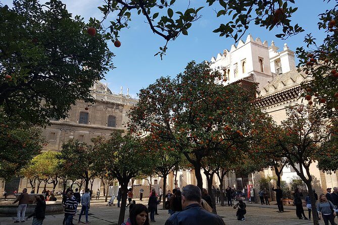 Seville Cathedral Tour including tickets and skip the line entry - Where you meet: Naturanda Turismo Ambiental near the old center